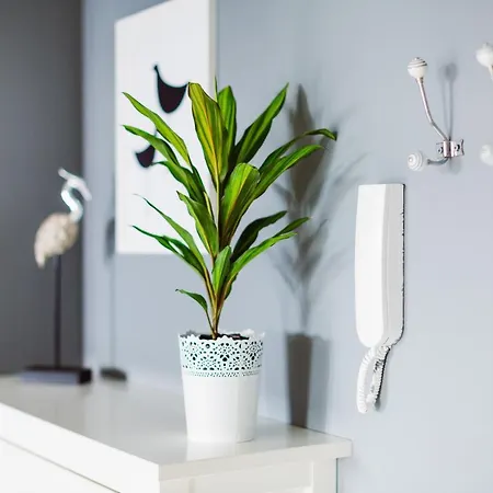 Apartament Amistik Kraków
